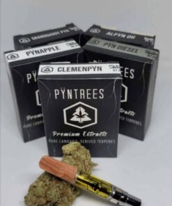 Live Resin Disposable