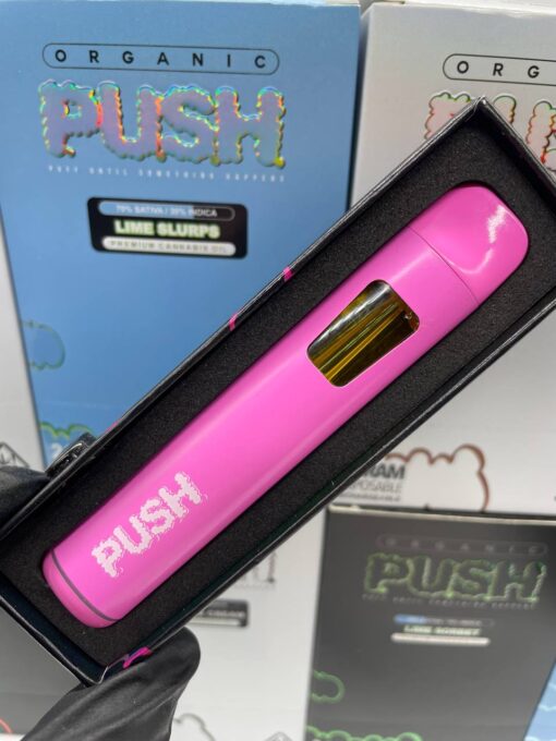 Push 2g disposable vape pen