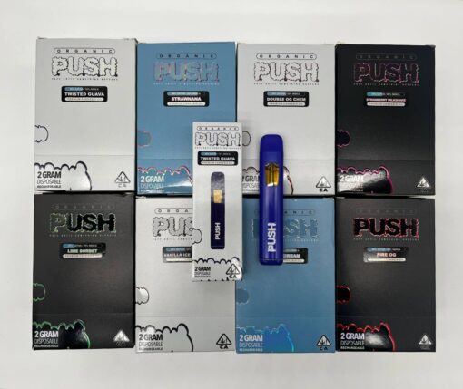 Push 2g disposable vape pen